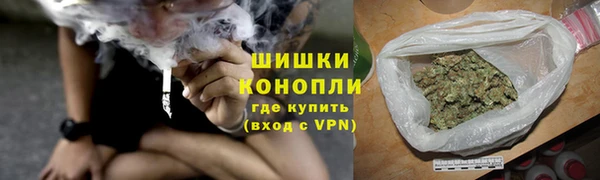 ГАЛЛЮЦИНОГЕННЫЕ ГРИБЫ Александровское