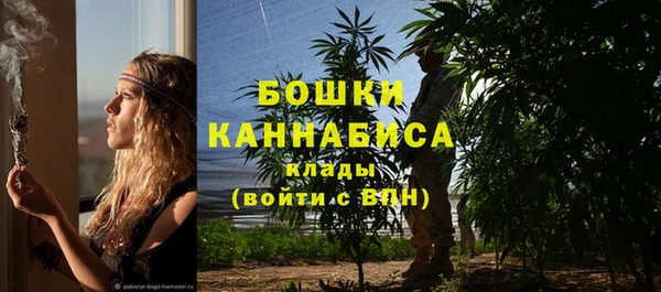 ГАЛЛЮЦИНОГЕННЫЕ ГРИБЫ Александровское