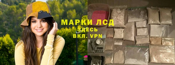 ГАЛЛЮЦИНОГЕННЫЕ ГРИБЫ Александровское