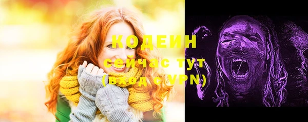 ГАЛЛЮЦИНОГЕННЫЕ ГРИБЫ Александровское