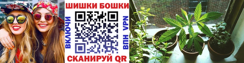 кракен зеркало  Алагир  Бошки Шишки марихуана 